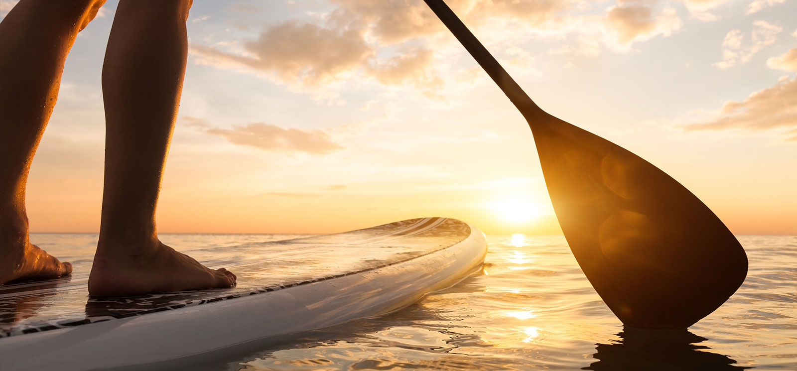 https://www.oceanusrehoboth.com/resourcefiles/mainimages/water-sports-at-rehoboth-beach-delaware-top.jpg?version=11062023073634